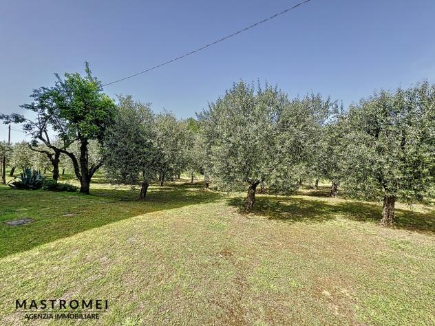 CASALE di 7 vani e di 240 mq (CASTELFRANCO DI SOTTO) rif. 3522_1 - Foto 4