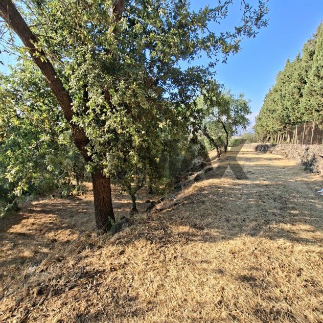 Terreno in vendita a Castiglione di Sicilia - Foto 11