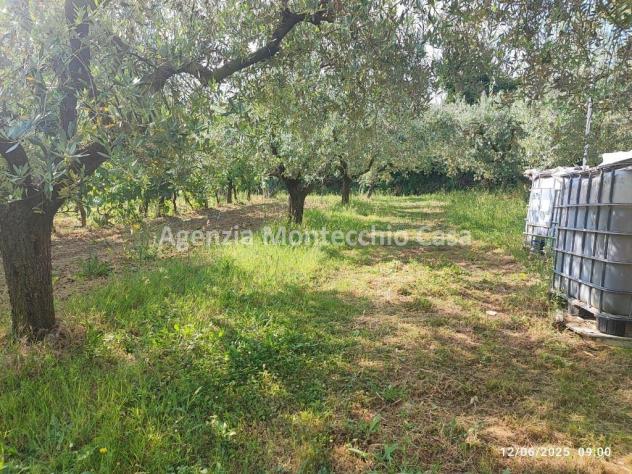 Occasione unica per amanti della natura e della campagna! - Foto 7