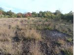 Terreno in vendita a Zafferana Etnea