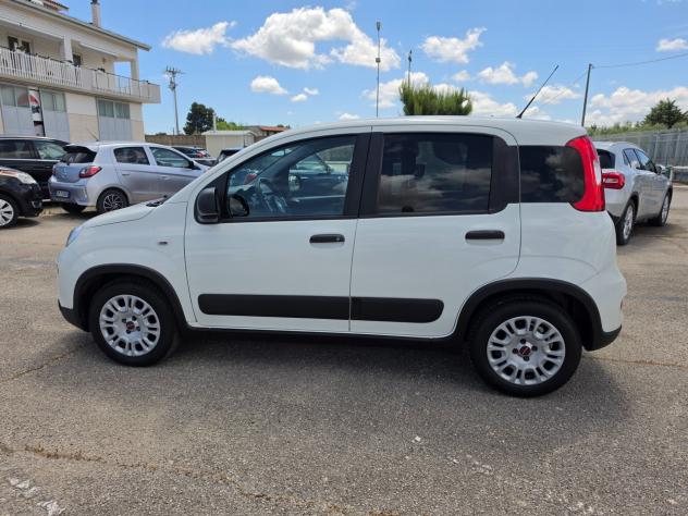 Fiat Panda 1.0 FireFly S&S Hybrid City Life - Foto 7