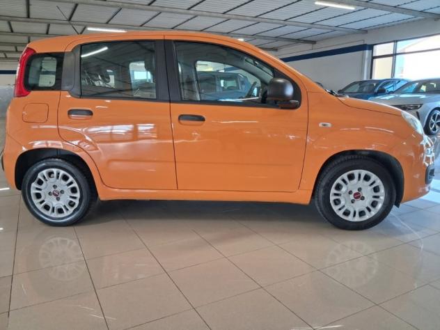 FIAT Panda 3ª serie 1.0 FireFly S&S Hybrid - Foto 8