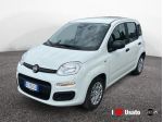 FIAT Pandina New PANDA Panda 1.0 70cv Hybrid Panda