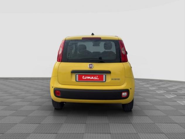 FIAT Panda Panda 1.0 FireFly S&S Hybrid rif. 23696464 - Foto 4