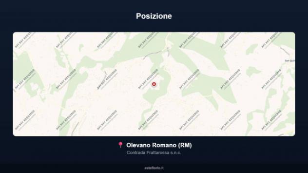 Immobile in asta di 3150 m², box auto in vendita a Olevano Romano - Foto 2