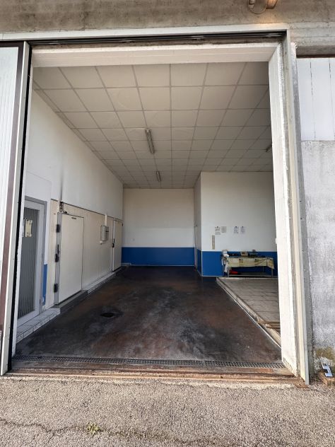 TREVISO - CESSIONE HUB LOGISTICO E CENTRO ITTICO - Foto 7