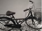 Bici mod. olandese perfettamente funzionante