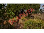 Immobile in asta di 170 m² in vendita a Caltagirone