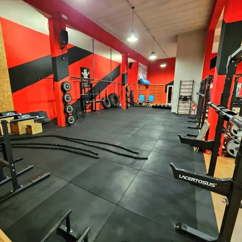 ISTRUTTORE CALISTHENICS - Foto 2
