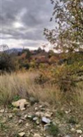 Immobile in asta di 4500 m² in vendita a Albenga - Foto 8