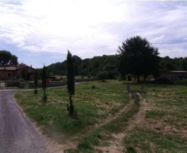 Terreno Edificabile - Rif. 1995 - Foto 2