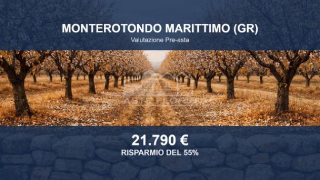 Immobile in asta di 72094 m² in vendita a Monterotondo Marittimo