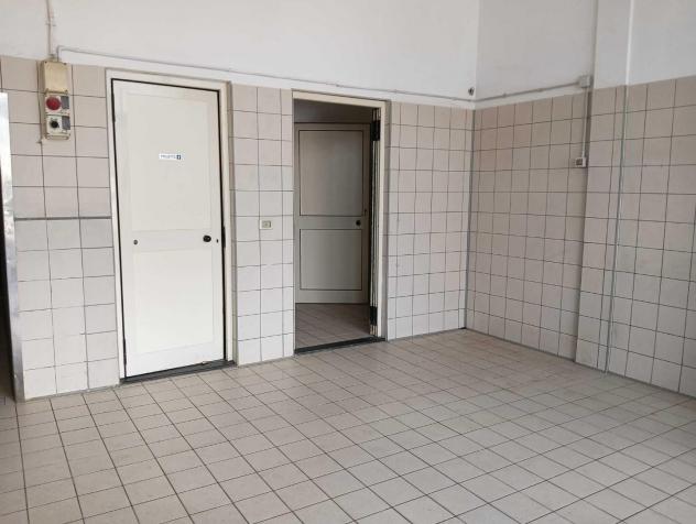 Laboratorio in affitto a Mezzana - San Giuliano Terme 215 mq Rif: 1361630 - Foto 5
