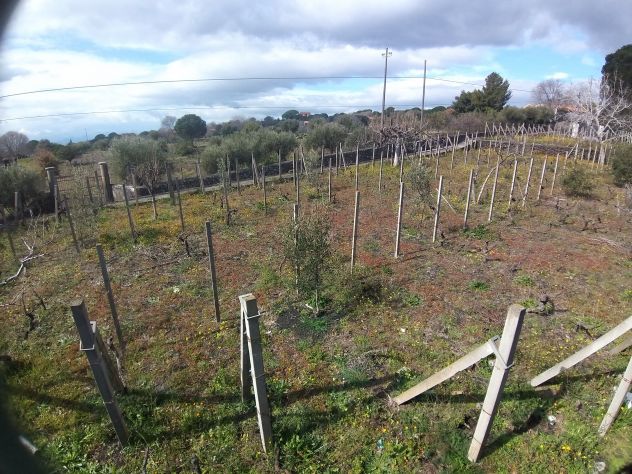 CODICE 6930 VILLA SINGOLA 260 MQ CON 4.870 MQ DI TERRENO A BELPASSO - Foto 4