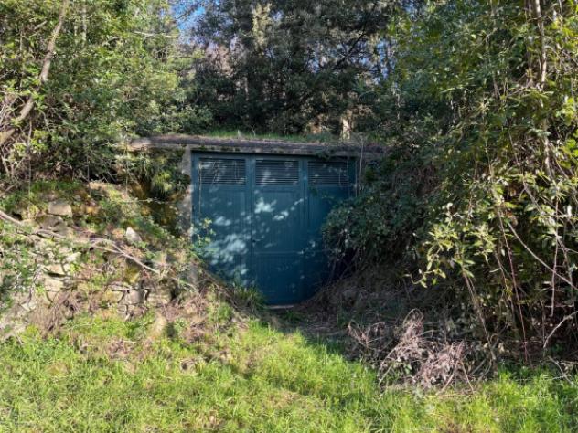 Immobile in asta di 783 m² con più di 5 locali e box auto in vendita a Montale - Foto 3