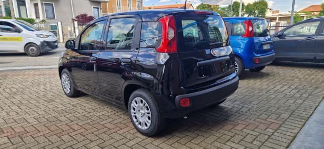 Fiat Panda 1.0 FireFly S&S Hybrid Icon - Foto 2