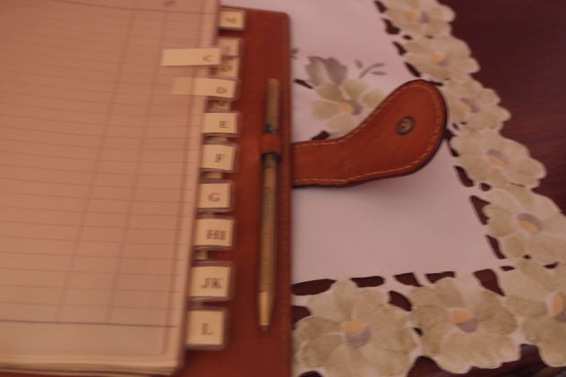 L. V. Agenda e/o rubrica 6 anelli - Foto 3