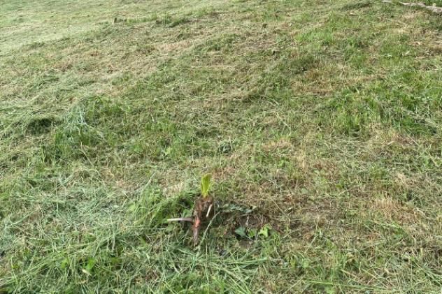 Immobile di 87 m² in vendita a Brissago-Valtravaglia - Foto 12