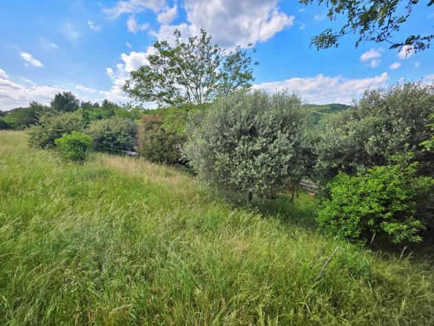 Magazzino in vendita a Roncà - Foto 5