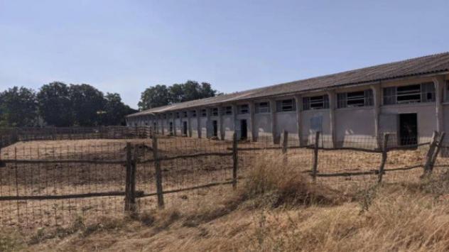 Immobile in asta di 2893 m² in vendita a Vicchio - Foto 7