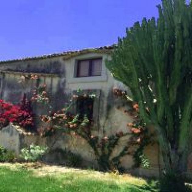 Azienda Agricola Busulmona - Foto 3