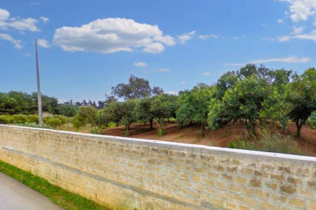 Immobile in asta di 27075 m² in vendita a Custonaci - Foto 10