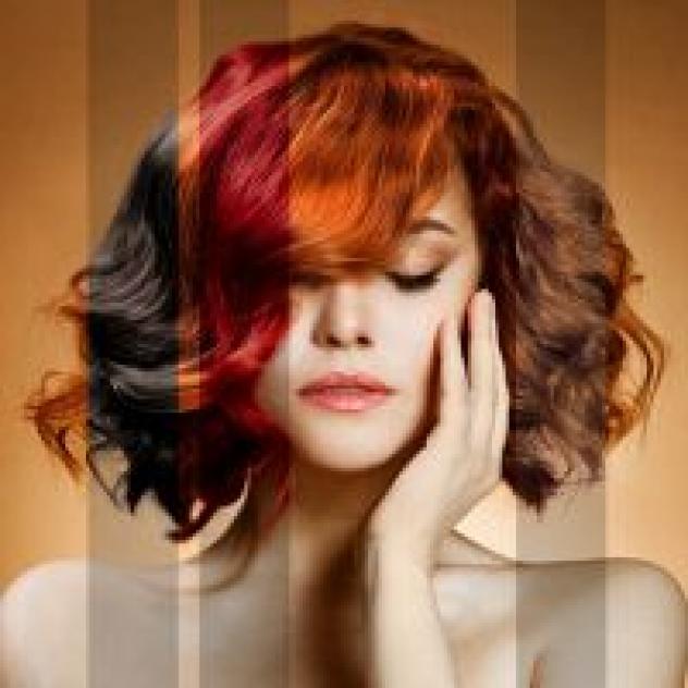 (In)Solite Muse