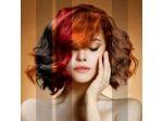 (In)Solite Muse