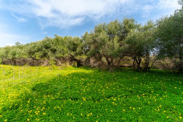 Agricolo in vendita a Catania