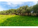 Agricolo in vendita a Catania