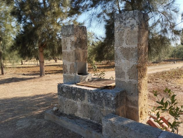 Terreno con 70 alberi d'ulivo - Foto 3