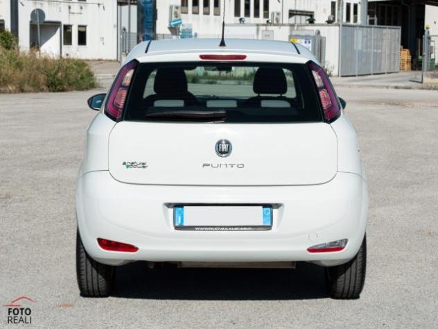 FIAT Punto 1.4 NATURAL POWER 5 PORTE EASY rif. 23816286 - Foto 5