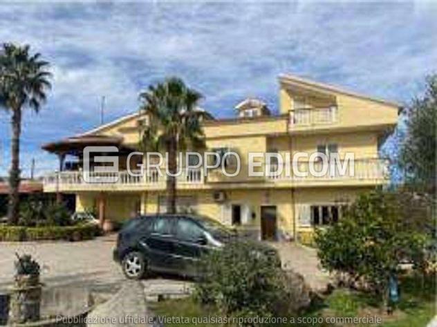 Fabbricato di 7290 mq in vendita a Maierato - Rif. 4546053 - Foto 2
