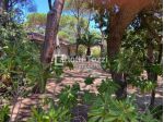 VILLA A SCHIERA di 5 vani e di 90 mq (CASTIGLIONE DELLA PESCAIA) rif. 03088