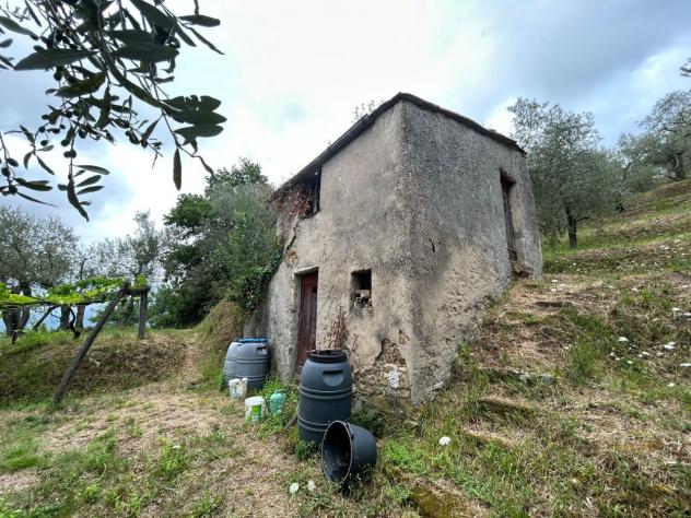 Agricolo in vendita a Arcola