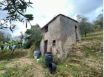 Agricolo in vendita a Arcola