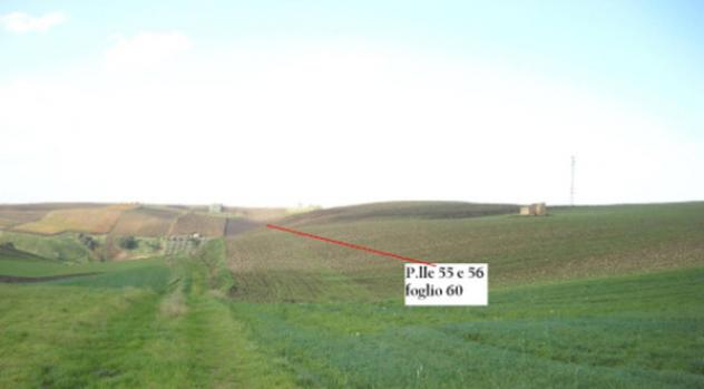 Immobile in asta di 65049 m² in vendita a Lavello - Foto 4
