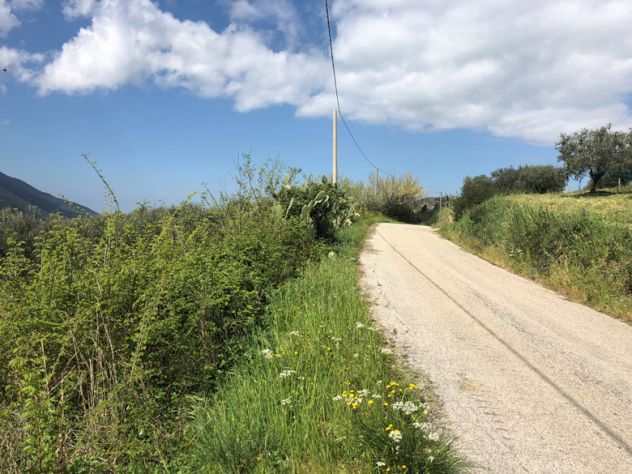 Roccadaspide loc. Fonte terreno agricolo - Foto 8