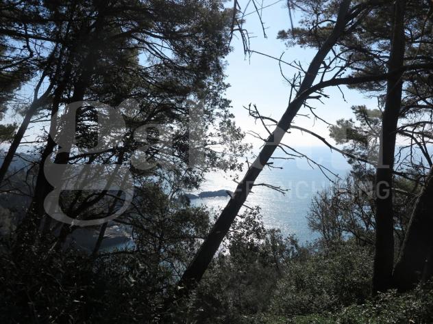 Rustico/Casale/Corte - Lerici . Rif.: 629VRG
