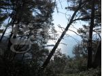 Rustico/Casale/Corte - Lerici . Rif.: 629VRG