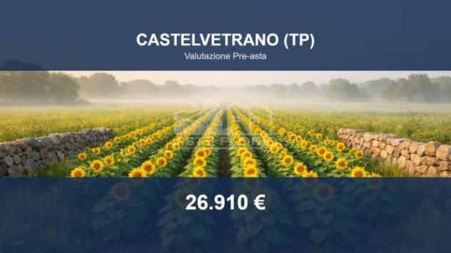 Immobile in asta di 7565 m² in vendita a Castelvetrano