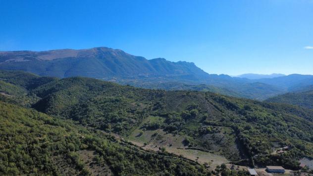 Agricolo in Serroni - Foto 5