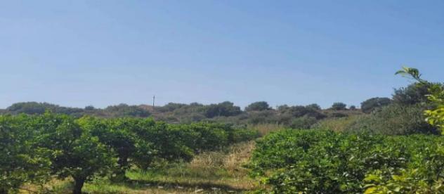 Immobile in asta di 584352 m² in vendita a Ispica - Foto 2