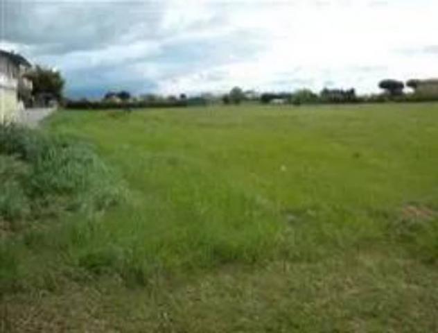 Immobile in asta di 26558 m² in vendita a Mondolfo - Foto 2