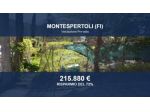 Immobile in asta di 7918 m² in vendita a Montespertoli