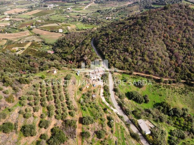 Casale in vendita a Jerzu - Foto 19