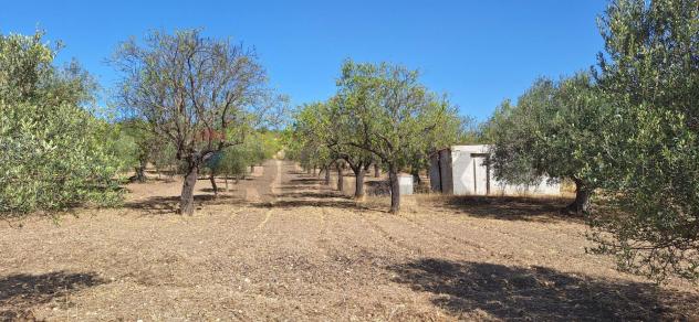 Terreno in vendita a Noto - Foto 8