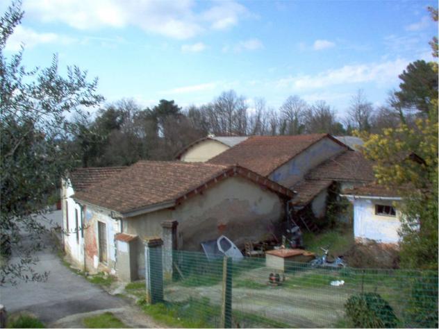 Capann mont 320 - Capannone a Montecarlo - Foto 18