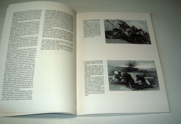 Goya - La Tauromachia e le Follie - Foto 3