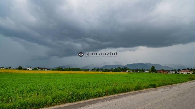 CENTINAROLA: Fano - centinarola inc ontesto prettamente residenziale, attorniato da una zona verde e ben servita, proponiamo in vendita lotto di terre - Foto 5